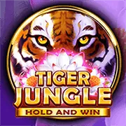 Đá gà trực tuyến win55 hôm nay