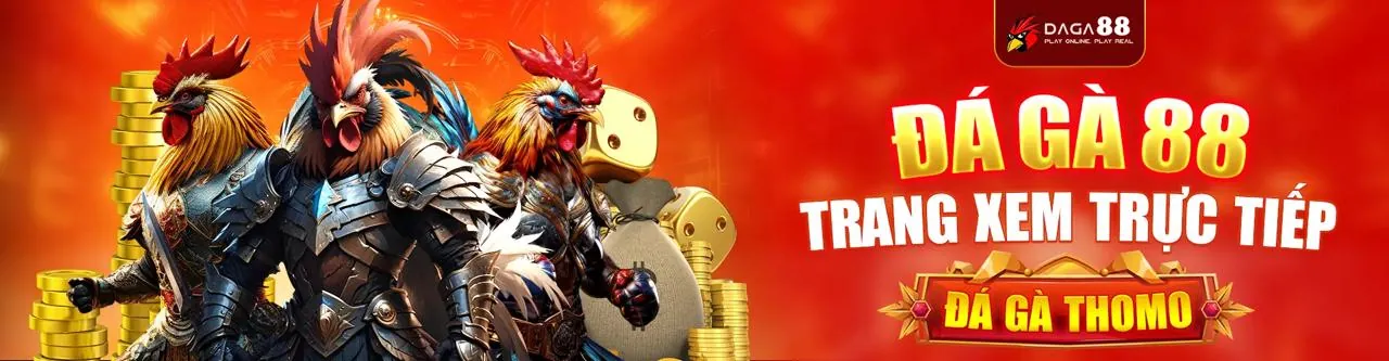 Sân Chơi Đá Gà Trực Tuyến Win55 Today