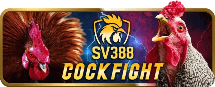 Giải quyết tranh chấp win55 today